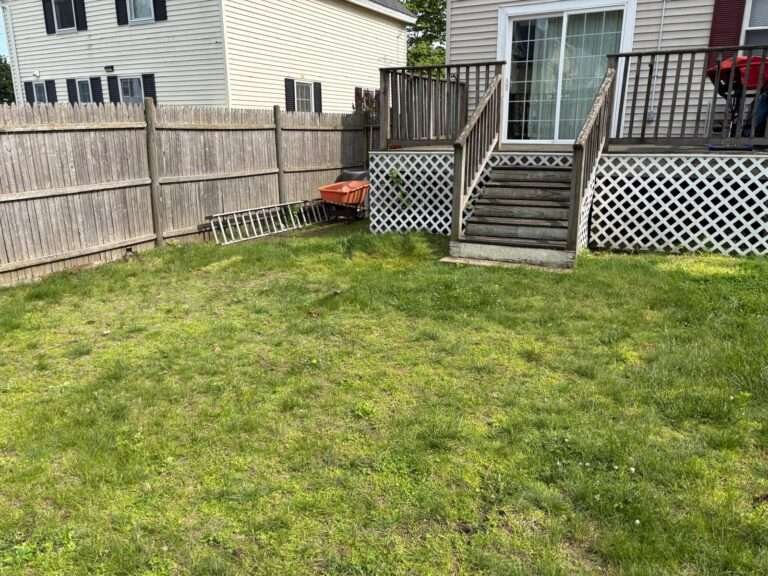 WhatsApp Image 2025-06-11 at 9.21