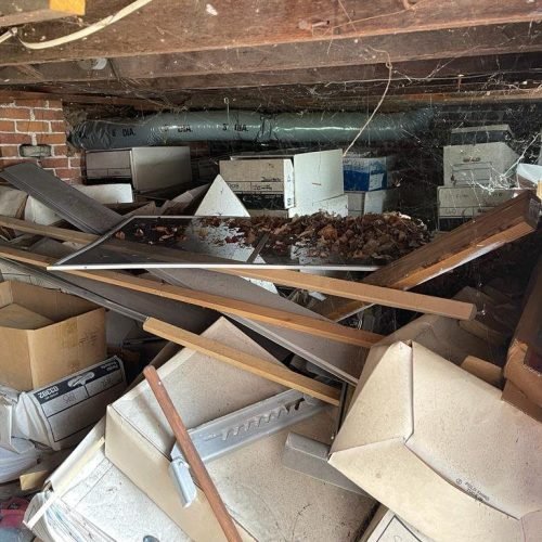 WhatsApp-Image-2023-08-17-at-1.21.09-PM-5