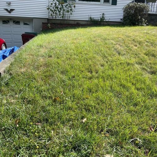 WhatsApp-Image-2023-08-17-at-1.21.10-PM-64